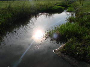 DSC01118