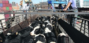 5367YT5QULP-1024x495