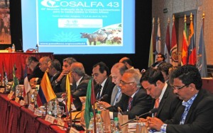 cosal_fin